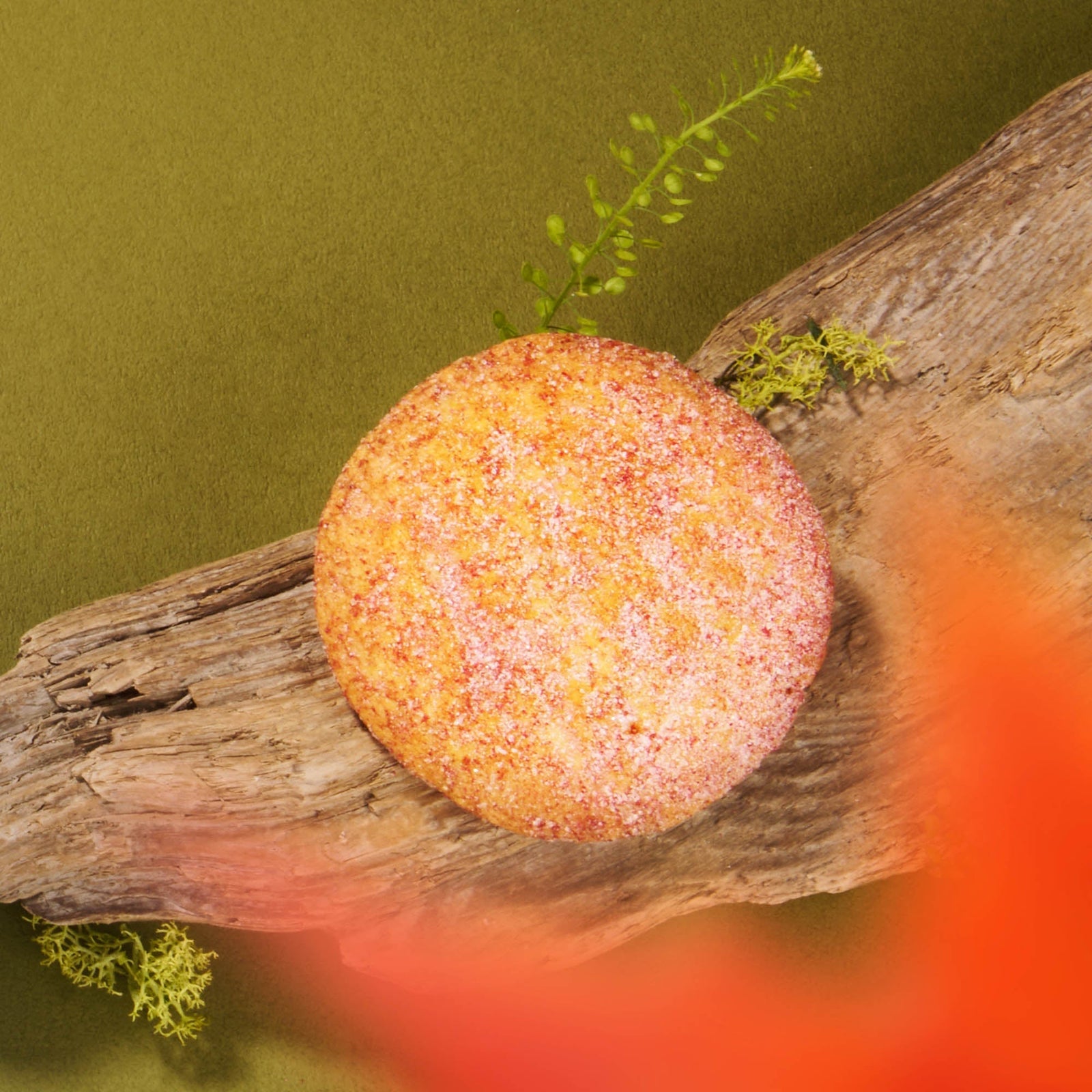 A round, sugar-coated cookie from the Bokksu Snack Box: Seasons of Japan sits on driftwood with green plants against an olive green background.